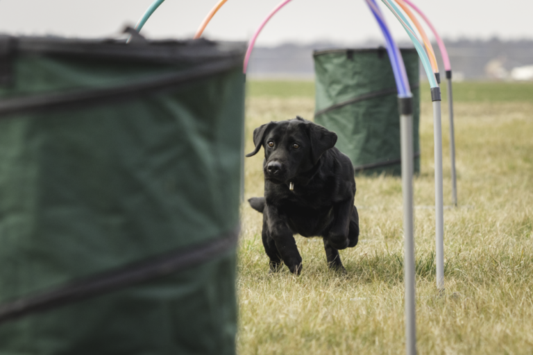 Hoopers a NeveltEBB tanodában!