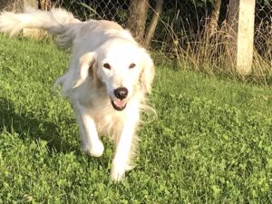 365705624 801164832009629 1817180817006858197 n