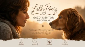 lelkiporaz
