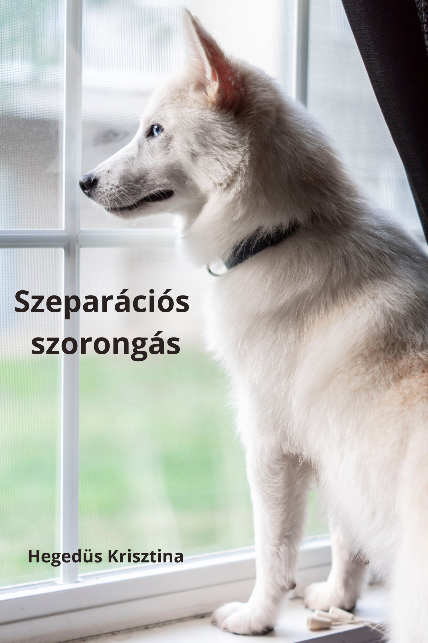 Szeparációs szorongás