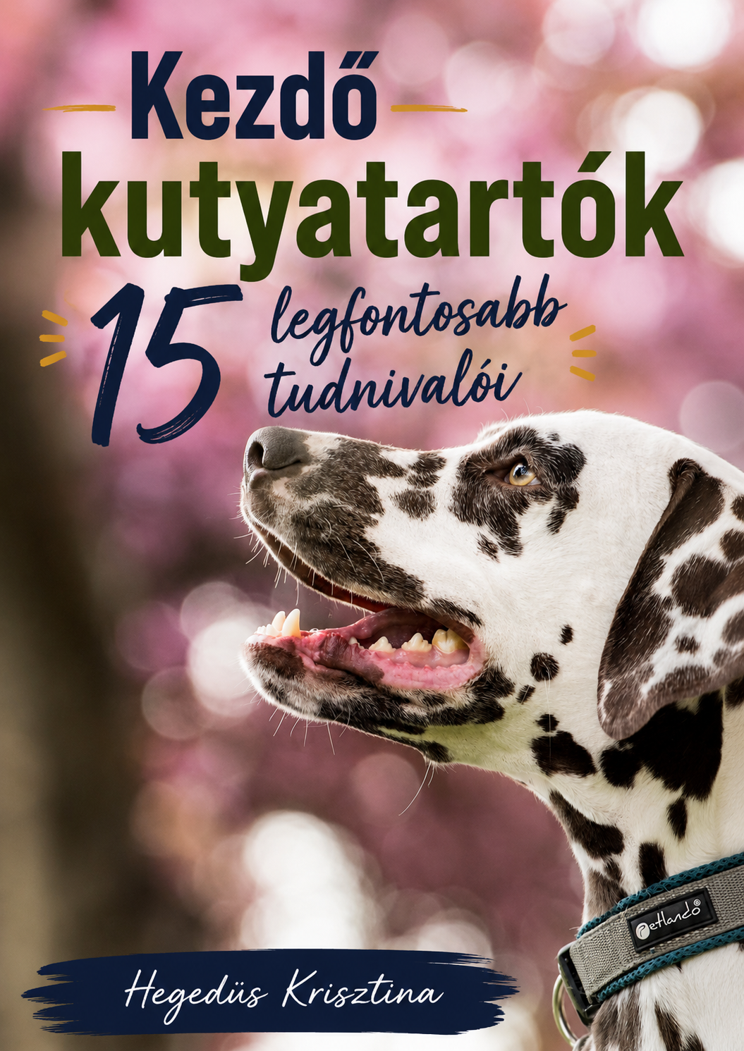 Kezdő kutyatartók 15 legfontosabb tudnivalói